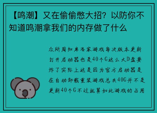 【鸣潮】又在偷偷憋大招？以防你不知道鸣潮拿我们的内存做了什么